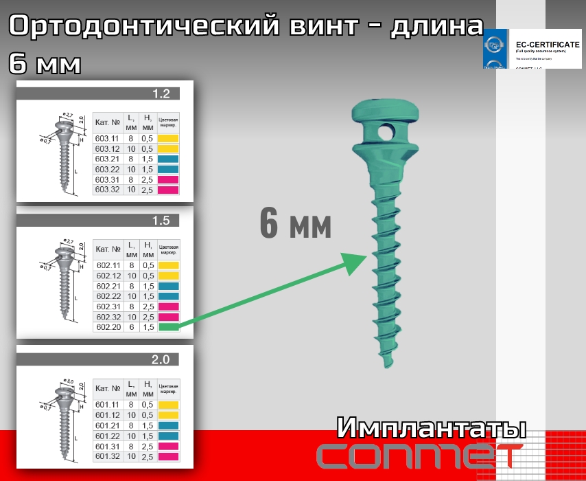 Ортодонтический миниимплантат (винт) - длина 6 мм - TitanRetail